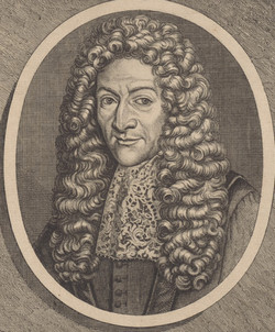 Anton Nuck