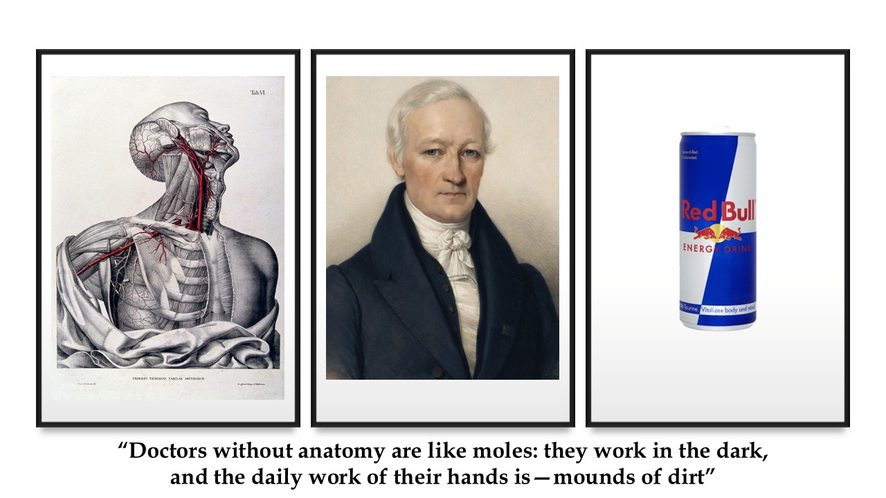 Friedrich Tiedemann (1781–1861) Friedrich Tiedemann (1781–1861)