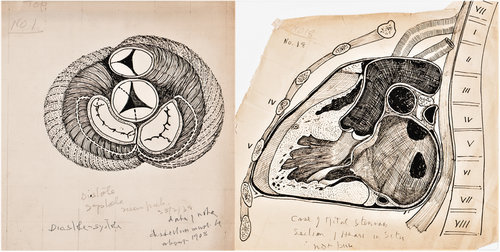 Arthur Keith's heart drawings