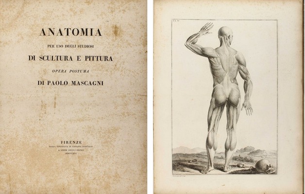 Mascagni's Anatomy for the Sculptor and Painter Mascagni's Anatomy for the Sculptor and Painter