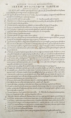 Fabrica page 188