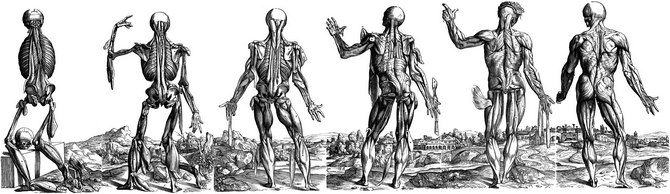 Six-series landscape panorama of Vesalius' muscle men plates - posterior view. Paintings attributed to Jan Stephan Van Calcar