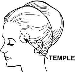 Temporalis muscle